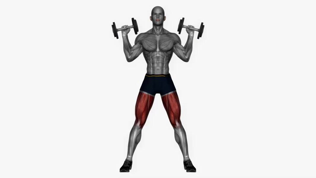 Dumbbell Front Rack Squat exercise