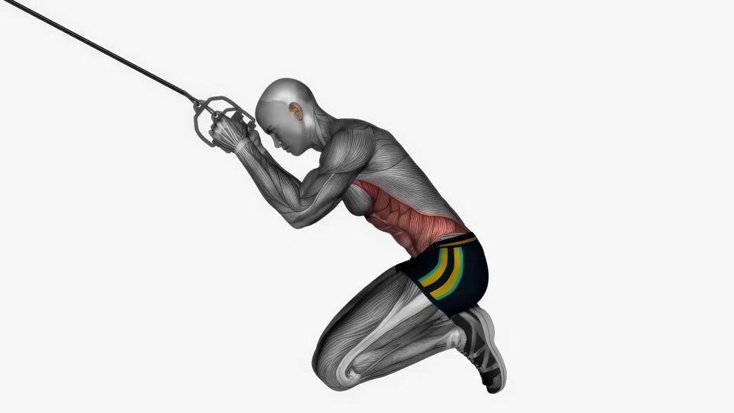 Cable Kneeling Crunch exercise