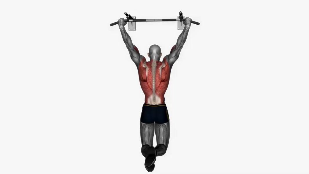 Pull-Up exercise