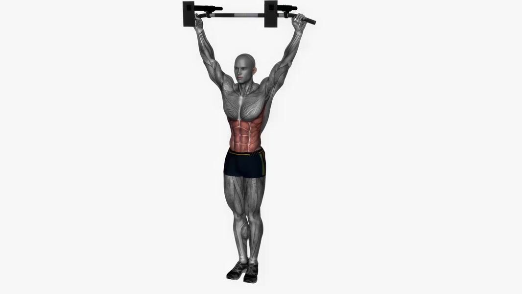 Hanging Knee Raise exercise