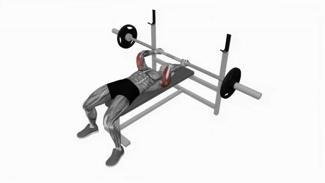 Barbell Skull Crusher exercise