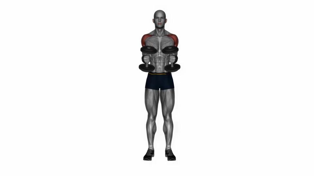 Dumbbell Lateral Raise exercise