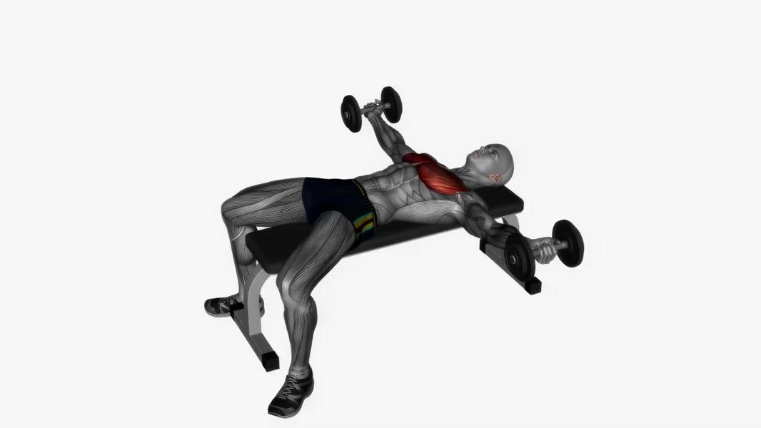 Dumbbell Chest Fly exercise