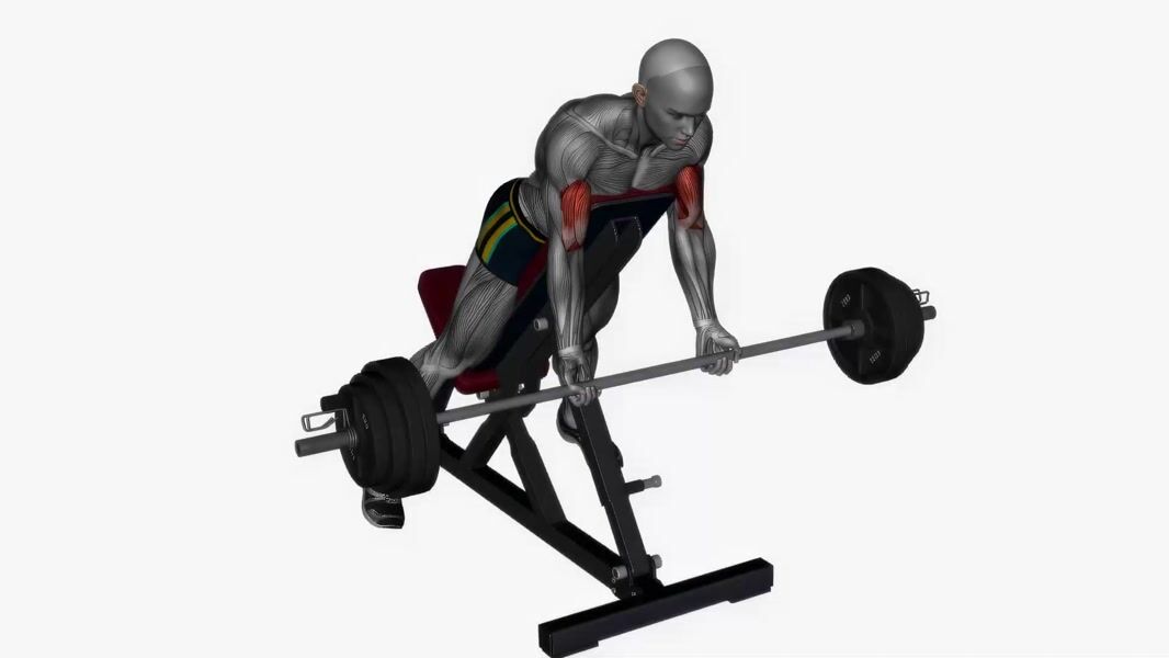 Barbell Spider Curl exercise