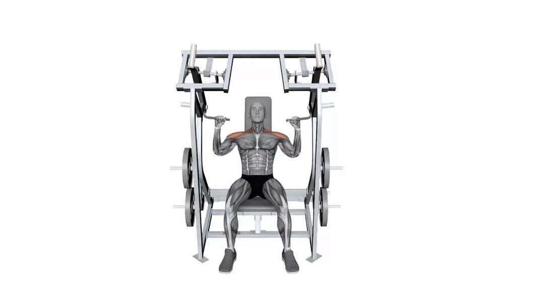 Machine Shoulder Press exercise