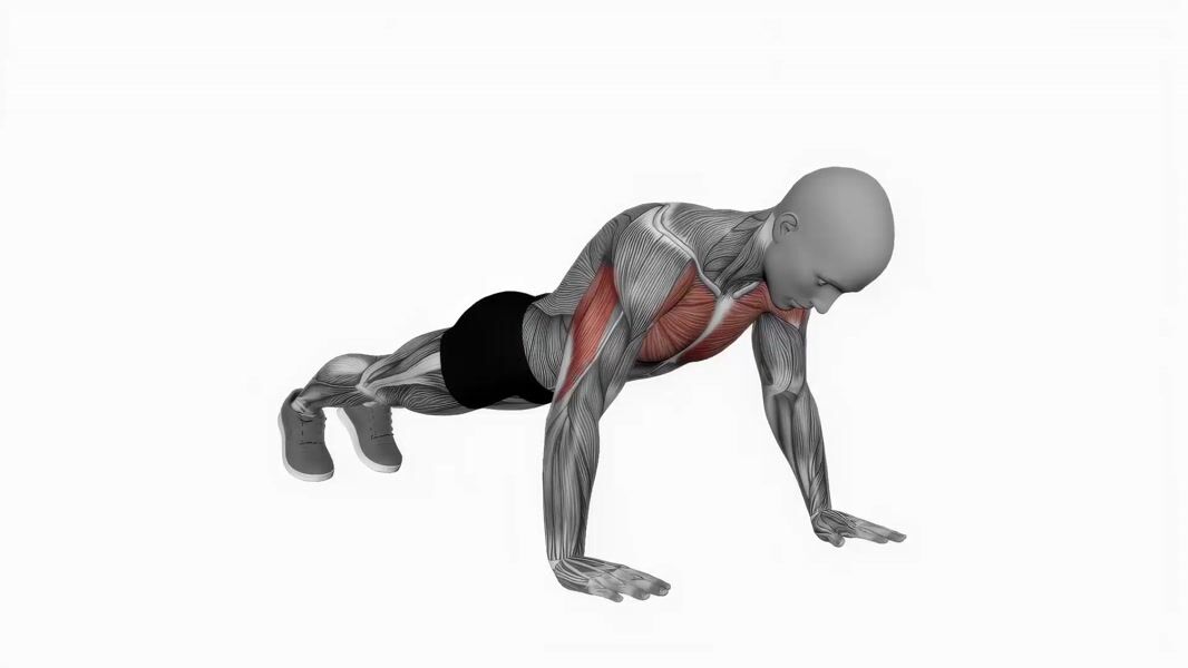 Push-Up exercise