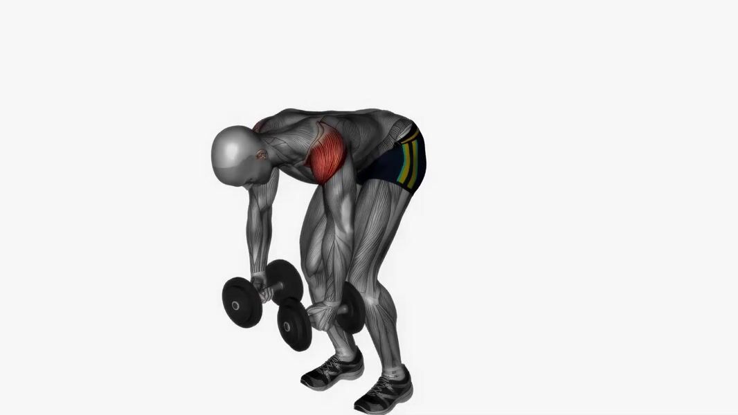 Dumbbell Rear Delt Fly exercise