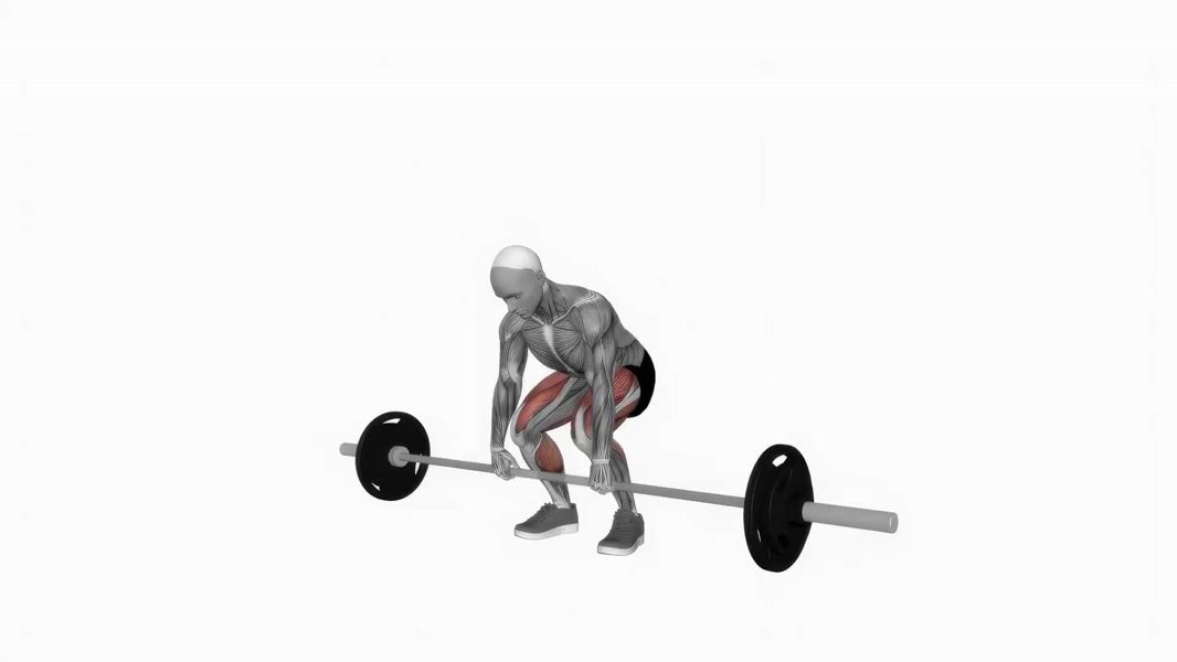 Barbell Deadlift exercise