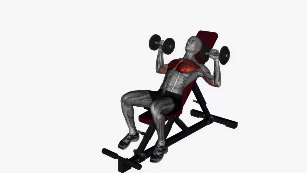 Dumbbell Incline Bench Press exercise