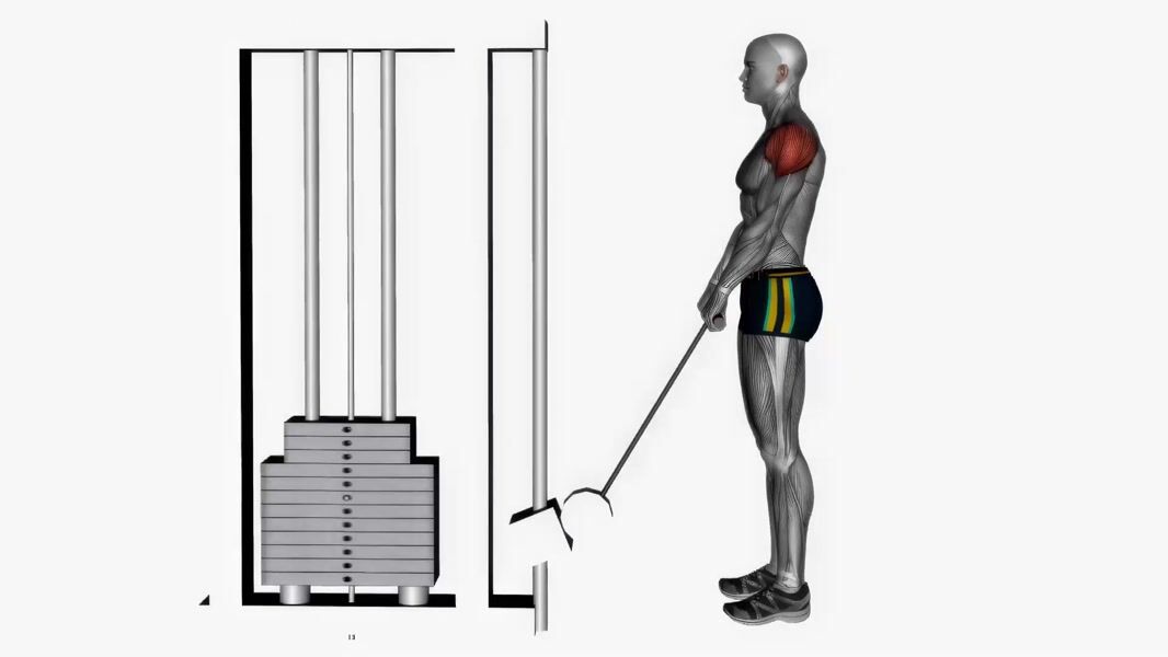 Cable Upright Row exercise