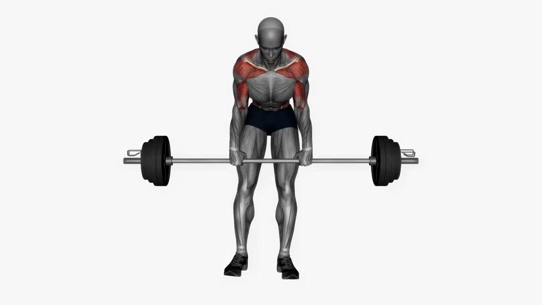 Barbell Bent-Over Row exercise