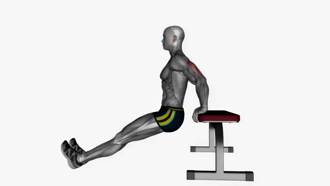 Bench Dip exercise