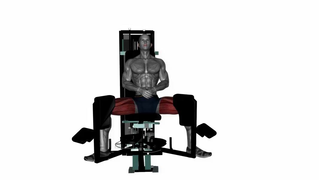 Machine Hip Adduction exercise