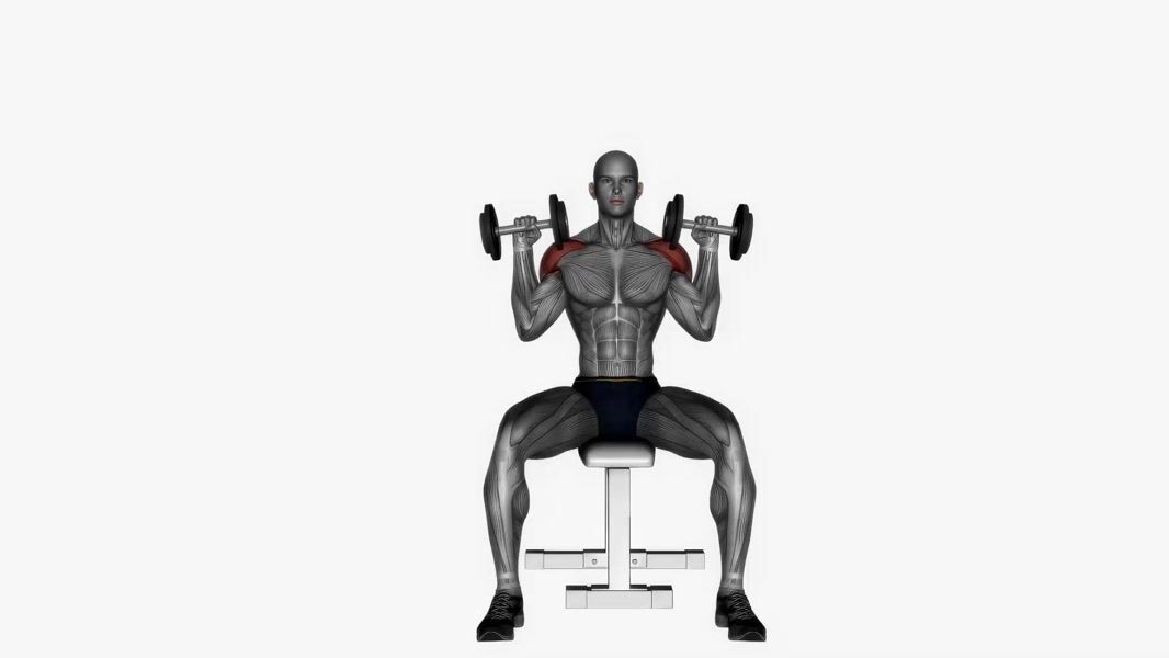 Dumbbell Overhead Press exercise