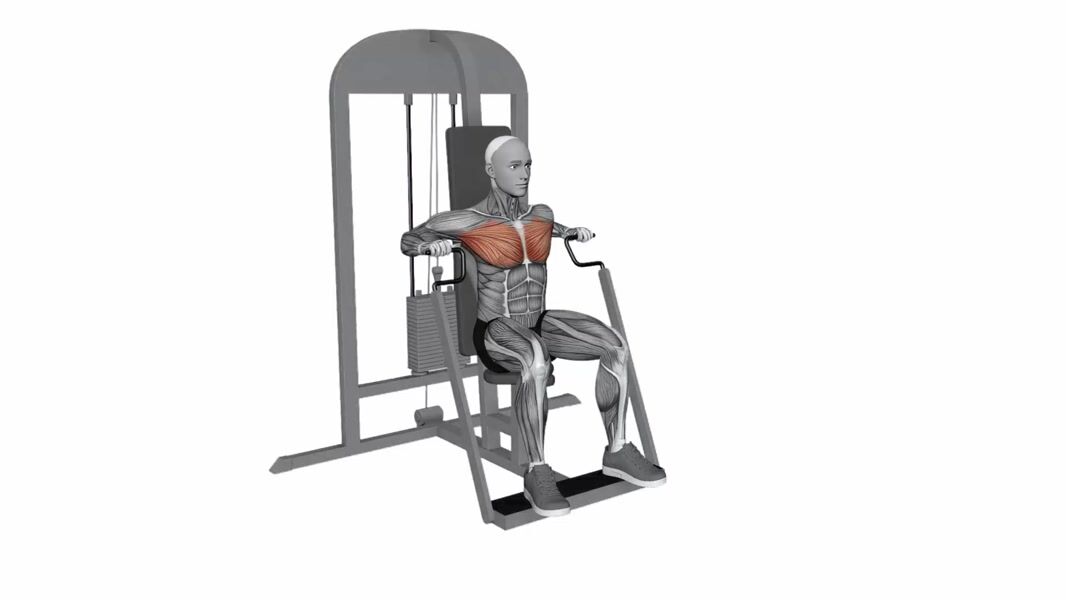 Machine Chest Press exercise