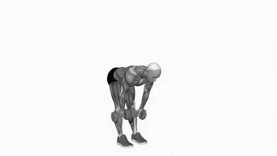 Dumbbell Stiff Leg Deadlift exercise