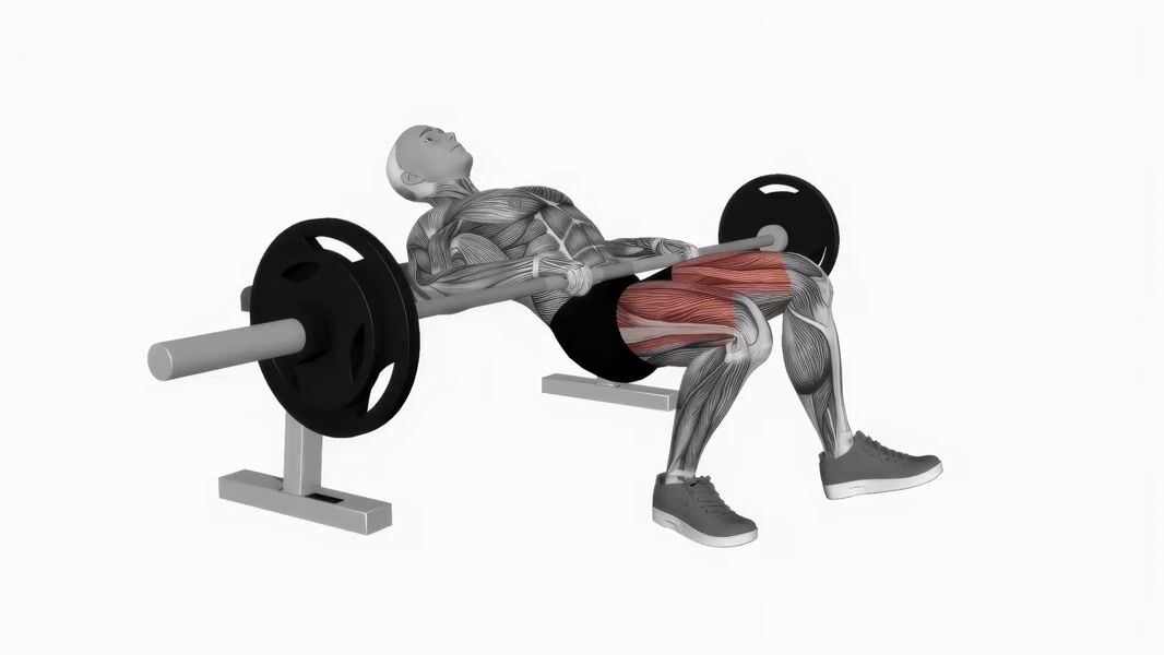 Barbell Hip Thrust exercise