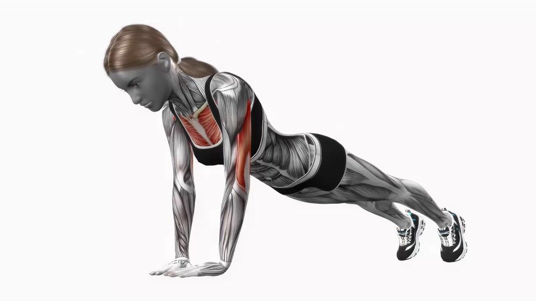 Diamond Push-Up exercise