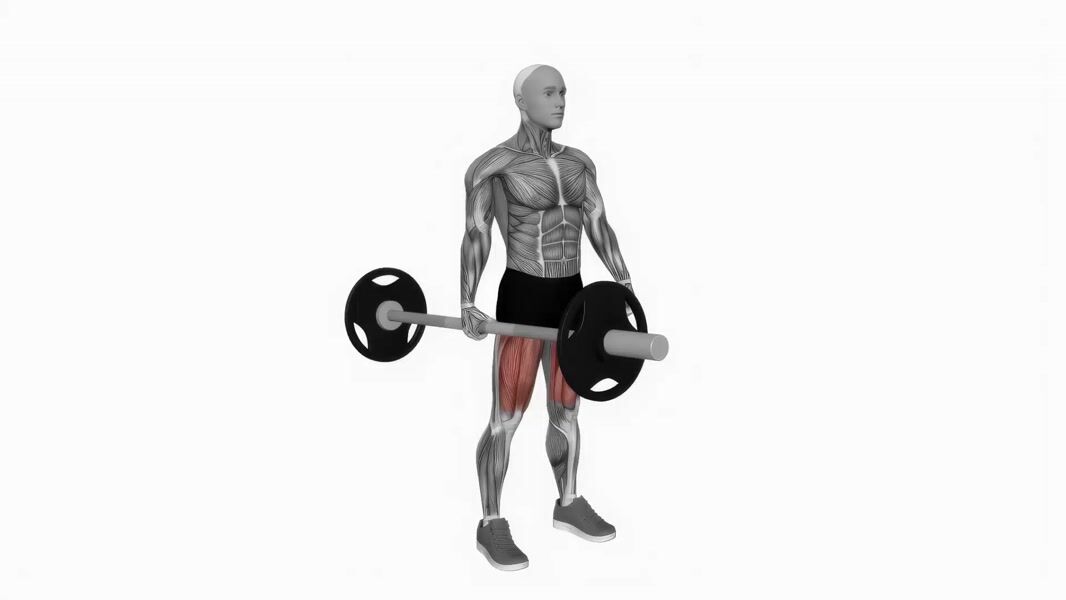 Barbell Suitcase Deadlift exercise