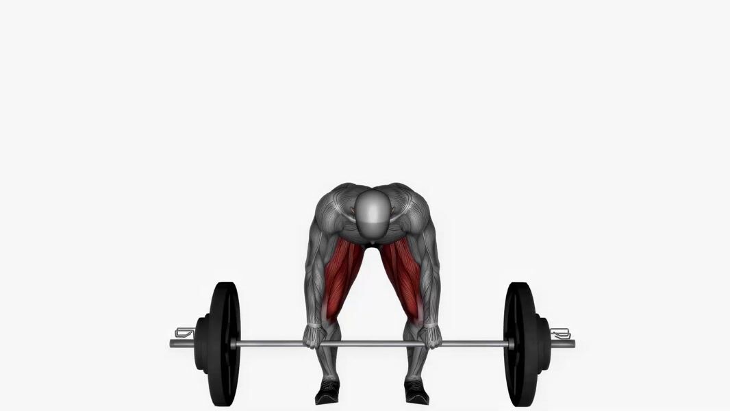 Barbell Romanian Deadlift exercise