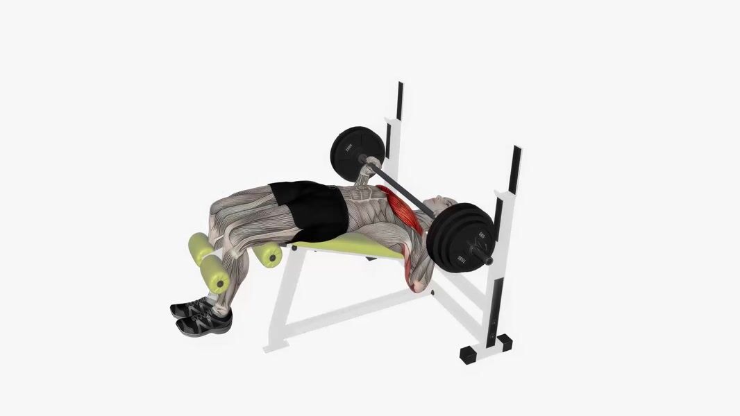 Barbell Decline Bench Press exercise