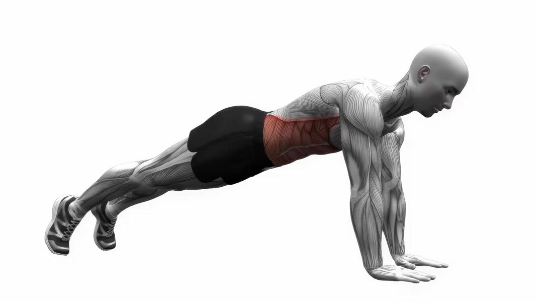 Plank exercise