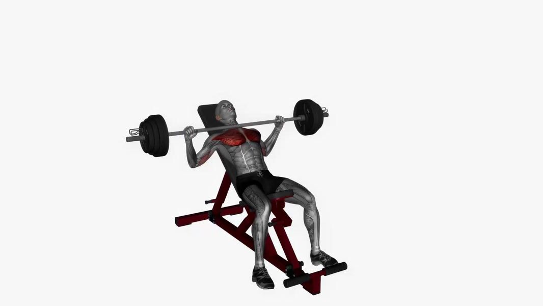 Barbell Incline Bench Press exercise