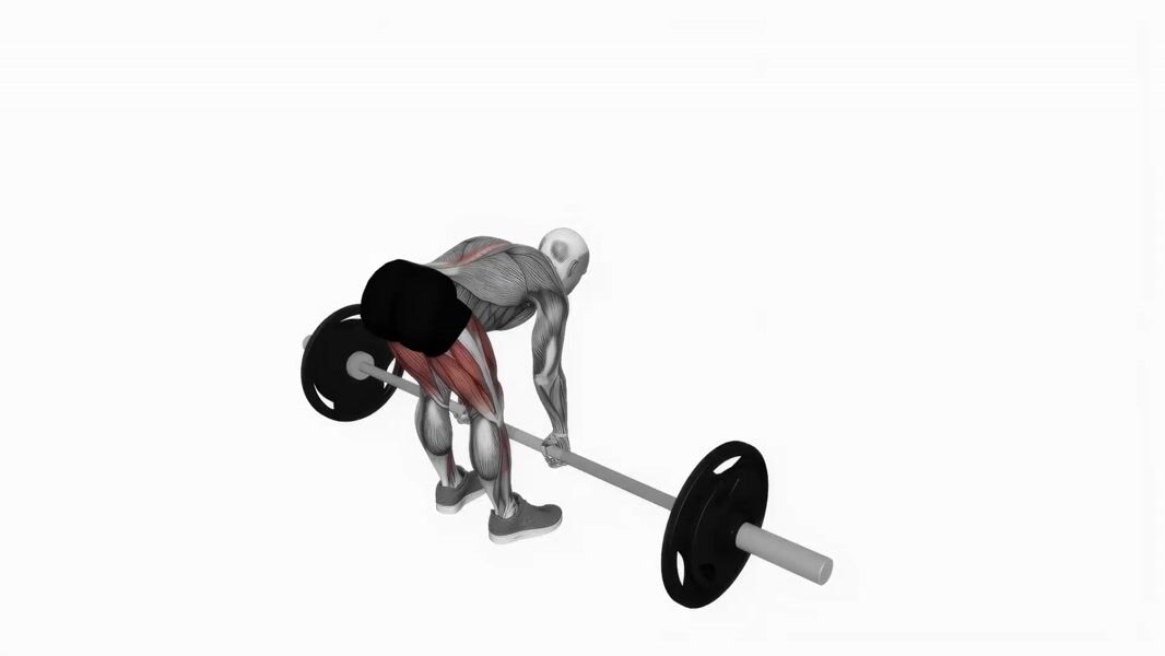 Barbell Stiff Leg Deadlift exercise