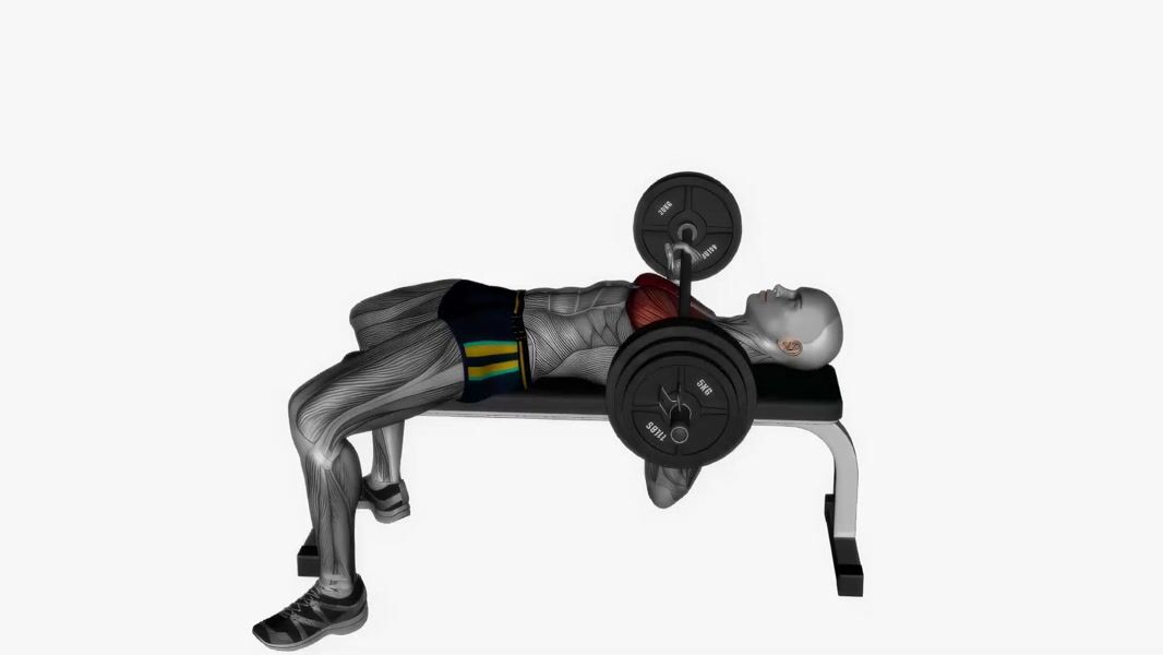 Barbell Bench Press exercise